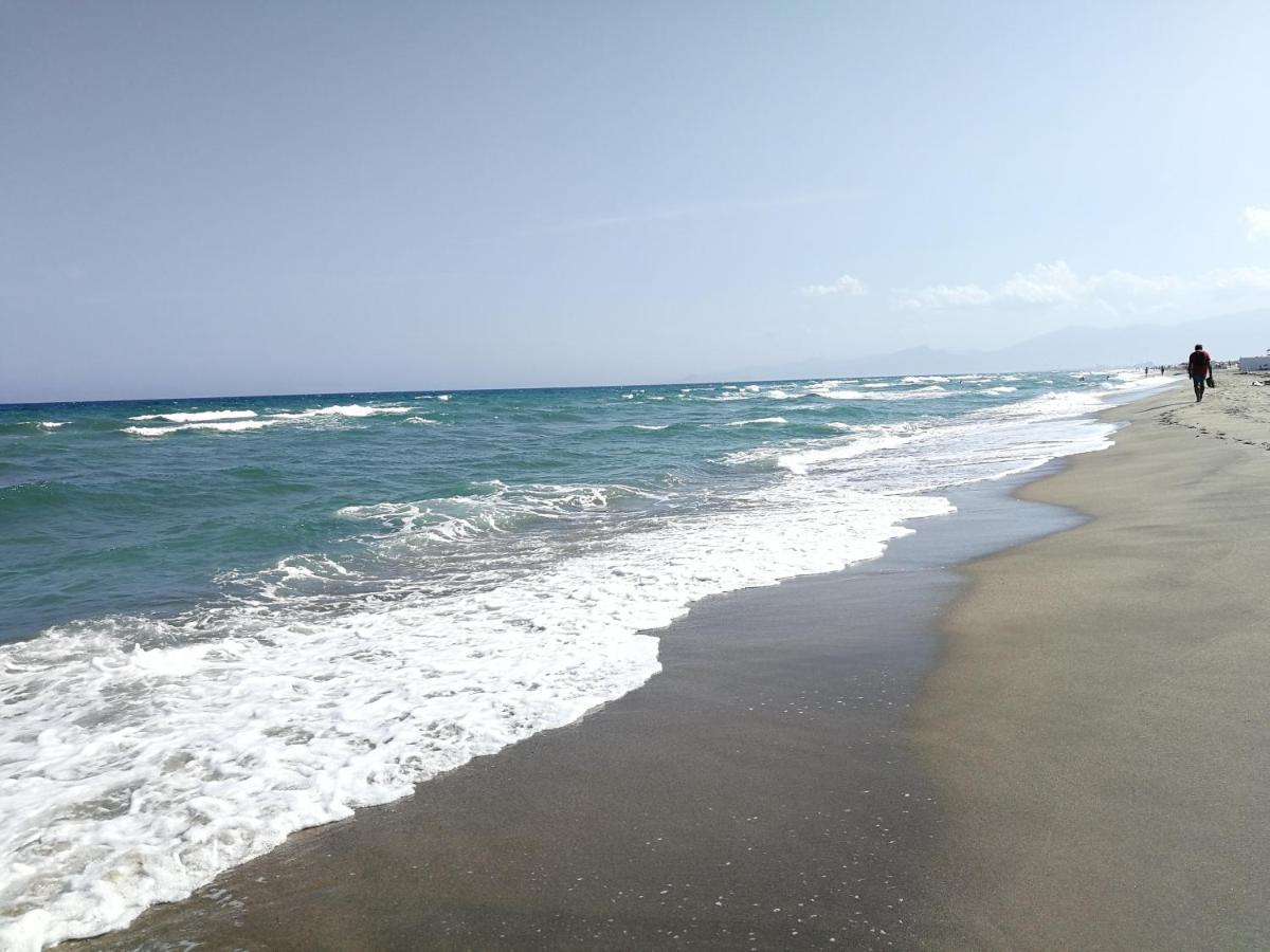 Agreable Studio 50M De La Plage Canet-en-Roussillon Εξωτερικό φωτογραφία